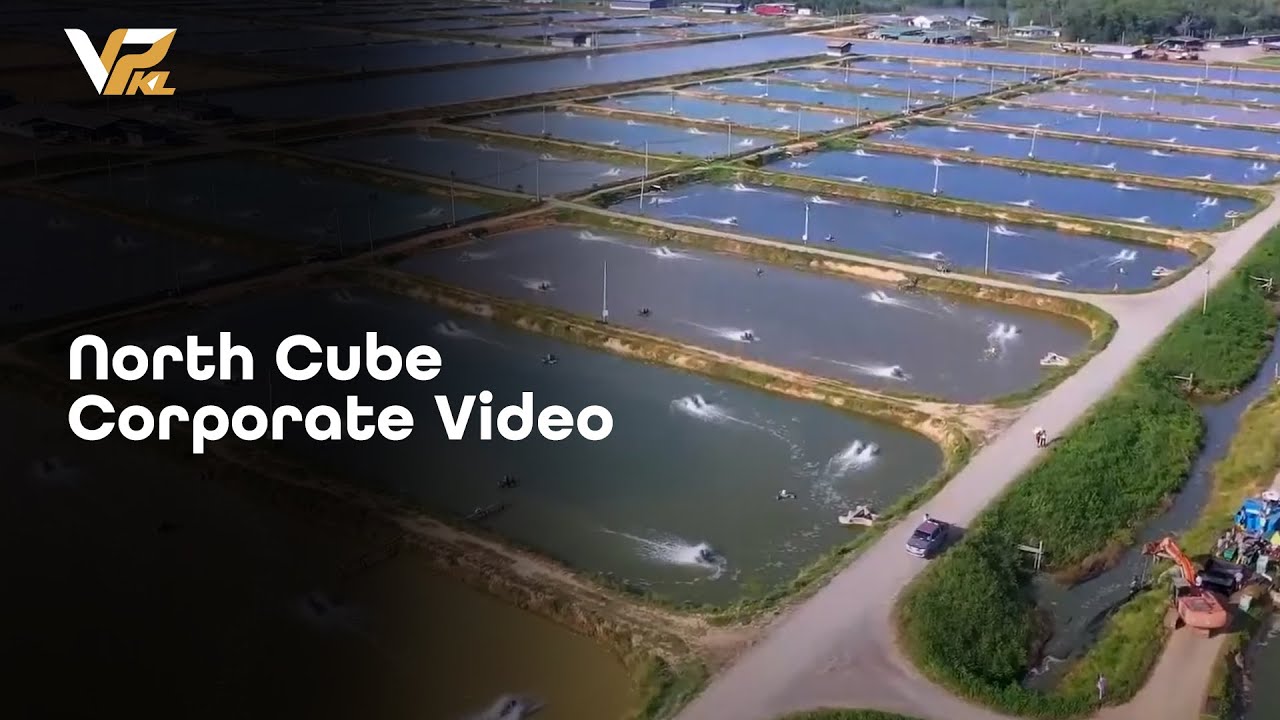North Cube Corporate Video